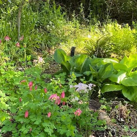 דירה Alte Schlosserei Leistadt