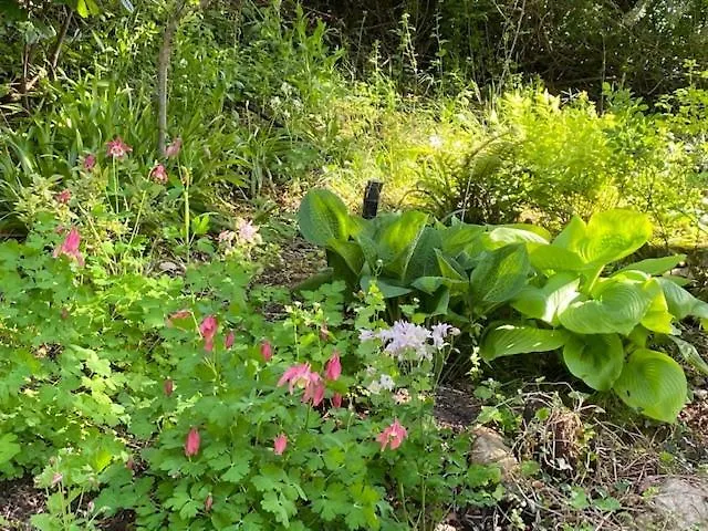 شقة Alte Schlosserei Leistadt